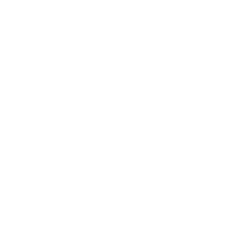 Waves of Fun Travel, LLC