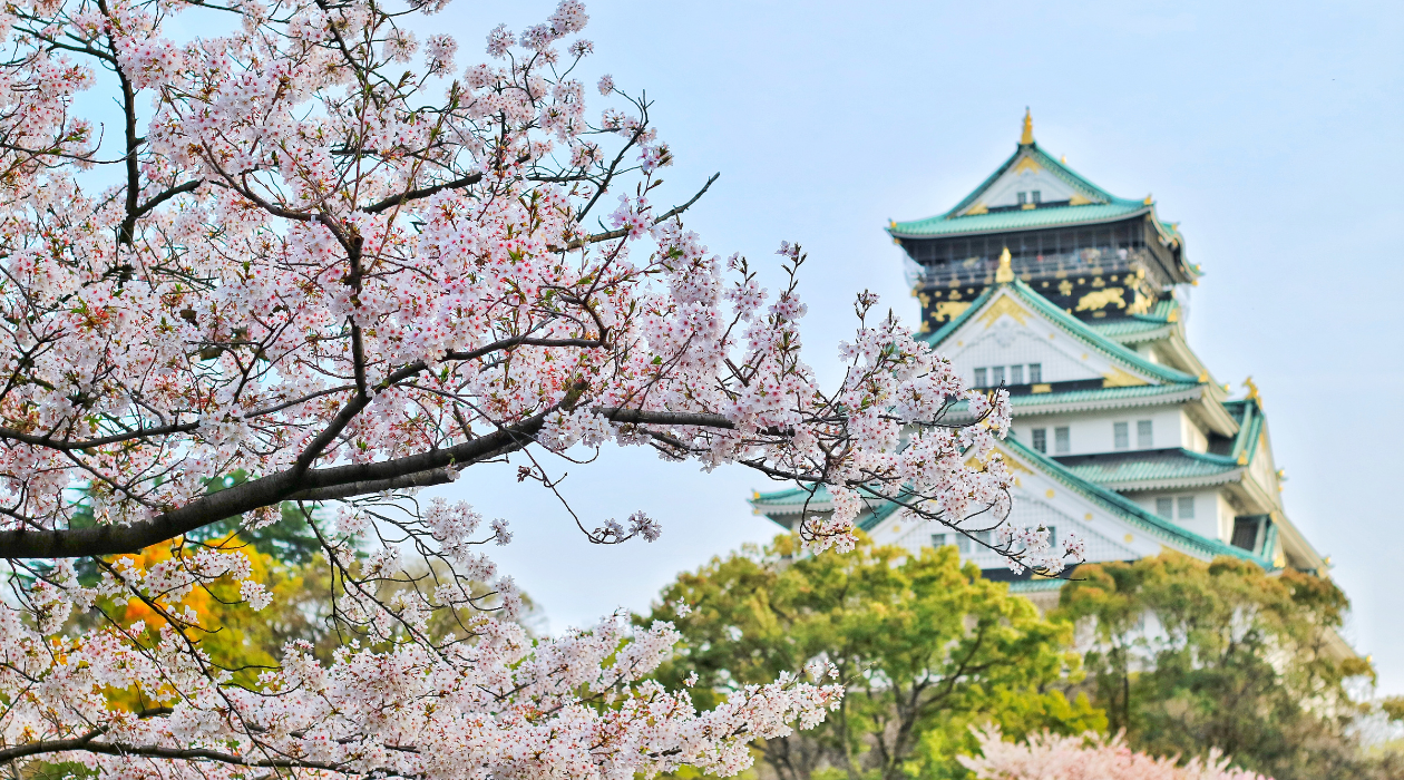The iconic Osaka Castle is prominently featured in the background, surrounded by cherry blossoms and a serene atmosphere.